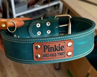 パラコード®犬用首輪（名前タグ付き） - オンブレターコイズ - レザー