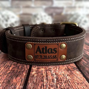 Dark brown leather dog collar personalized with an engraved leather nameplate displaying pet information.