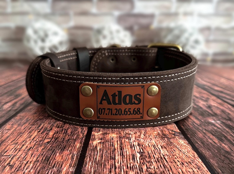 Dark brown leather dog collar personalized with an engraved leather nameplate displaying pet information.