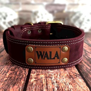 leather dog collar, handmade dog collar, durable dog collar, strong dog collar, sturdy dog collar, heavy duty dog collar, thick leather collar, custom dog collar, personalized dog collar, engraved dog collar, brass buckle collar, solid brass dog collar, leather pet collar, dog collar with nameplate, dog collar with engraving, custom engraved dog collar, genuine leather dog collar, wide leather dog collar, heavy dog collar, big dog collar, large breed dog collar, extra large dog collar