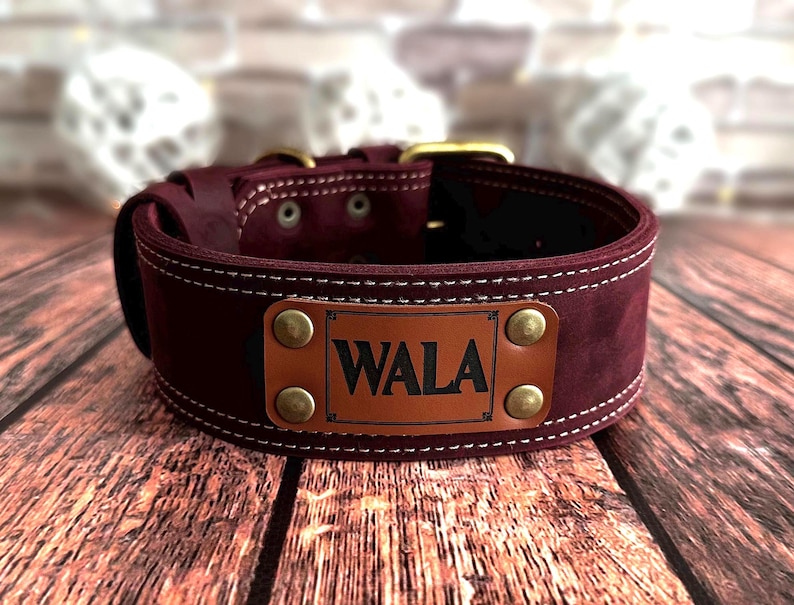 leather dog collar, handmade dog collar, durable dog collar, strong dog collar, sturdy dog collar, heavy duty dog collar, thick leather collar, custom dog collar, personalized dog collar, engraved dog collar, brass buckle collar, solid brass dog collar, leather pet collar, dog collar with nameplate, dog collar with engraving, custom engraved dog collar, genuine leather dog collar, wide leather dog collar, heavy dog collar, big dog collar, large breed dog collar, extra large dog collar