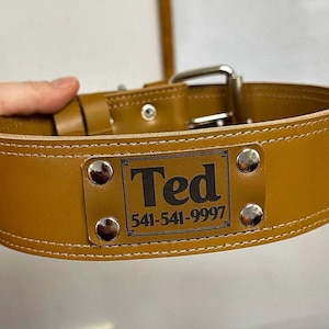 Wide Leather Dog Collar: Personalized Sturdy Leather, Engraved Nameplate