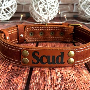 Personalized cognac leather dog collar featuring a custom engraved nameplate and premium handcrafted construction.