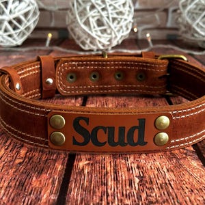 Personalized cognac leather dog collar featuring a custom engraved nameplate and premium handcrafted construction.