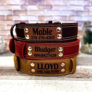 Leather Dog Collar with personalization: Engraved Solid Collar for Large Dogs