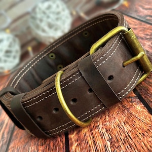 Op de afbeelding: Een bruine leren hondenhalsband met een messing gesp en D-ring. De halsband heeft witte stiksels en is gemaakt van dik, duurzaam leer. De messing hardware voegt een vleugje elegantie toe aan het ontwerp.