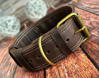 Collar de cuero personalizado para perro: placa de identificación de cuero resistente y personalizada, herrajes de bronce macizo.