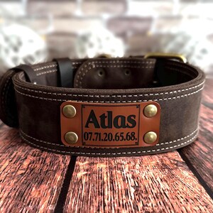 Dark brown leather dog collar personalized with an engraved leather nameplate displaying pet information.