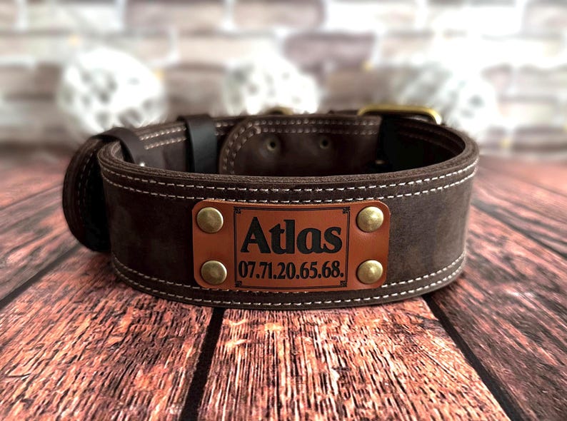 Dark brown leather dog collar personalized with an engraved leather nameplate displaying pet information.