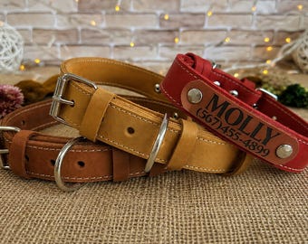 Individuell gestaltetes, dünnes Leder-Hundehalsband: Graviertes Namensschild, Geschenk für Hundeliebhaber