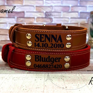 Wide dog collar for large dog, Thick dog collar personalized, Leather dog collar, Dog collar girl, Dog collar boy, Real solid dog collar