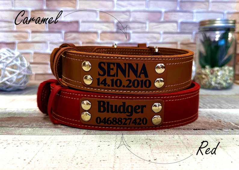 Wide dog collar for large dog, Thick dog collar personalized, Leather dog collar, Dog collar girl, Dog collar boy, Real solid dog collar