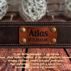 leather dog collar, handmade dog collar, durable dog collar, strong dog collar, sturdy dog collar, heavy duty dog collar, thick leather collar, custom dog collar, personalized dog collar, engraved dog collar, brass buckle collar, solid brass dog collar, leather pet collar, dog collar with nameplate, dog collar with engraving, custom engraved dog collar, genuine leather dog collar, wide leather dog collar, heavy dog collar, big dog collar, large breed dog collar, extra large dog collar