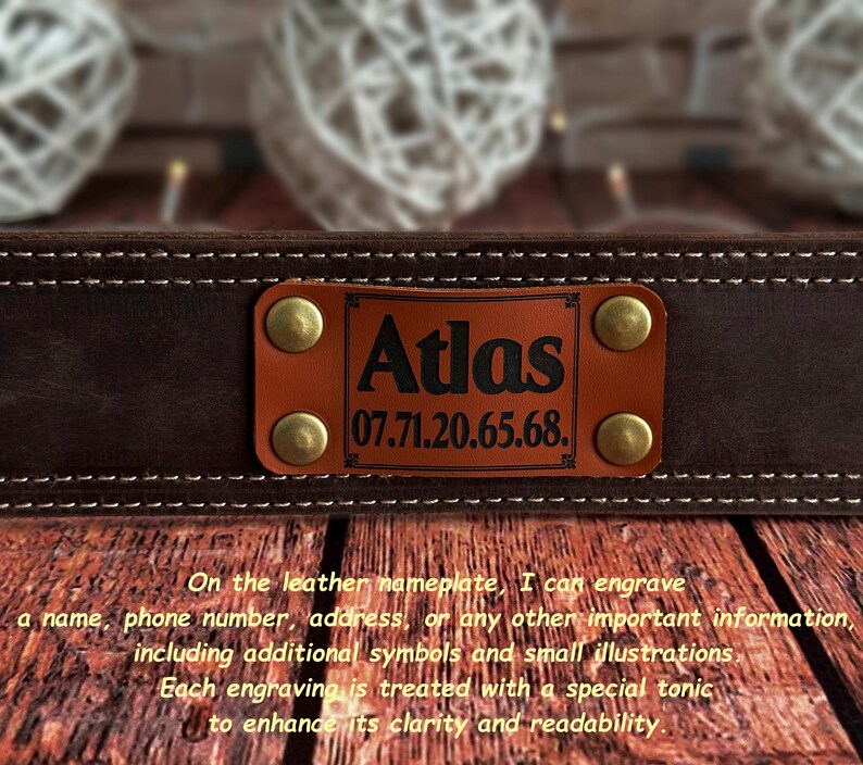 leather dog collar, handmade dog collar, durable dog collar, strong dog collar, sturdy dog collar, heavy duty dog collar, thick leather collar, custom dog collar, personalized dog collar, engraved dog collar, brass buckle collar, solid brass dog collar, leather pet collar, dog collar with nameplate, dog collar with engraving, custom engraved dog collar, genuine leather dog collar, wide leather dog collar, heavy dog collar, big dog collar, large breed dog collar, extra large dog collar