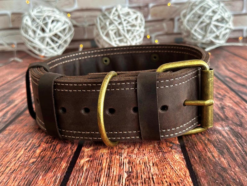 Wide dark brown leather dog collar with antique brass buckle, heavy-duty D-ring, and reinforced double stitching.