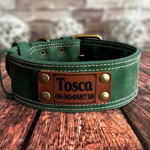 Personalized green leather dog collar featuring a custom engraved nameplate with the dog's name and phone number.