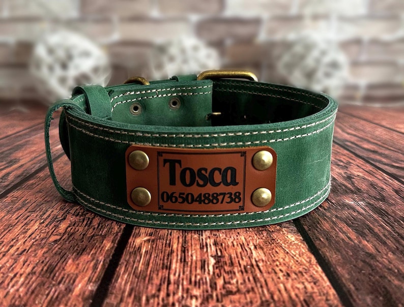 Personalized green leather dog collar featuring a custom engraved nameplate with the dog's name and phone number.