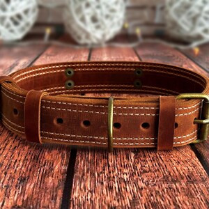 Adjustable cognac leather dog collar with multiple sizing holes, reinforced stitching, and durable brass hardware.