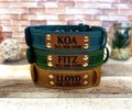 Leather dog collar personalized, Leather dog collar with name plate, Dog lover gift, Custom dog collar, Engraved leather dog collar product logo