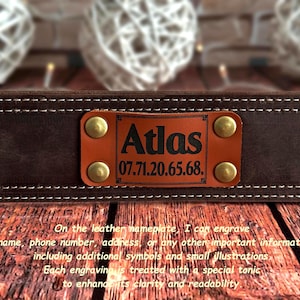 leather dog collar, handmade dog collar, durable dog collar, strong dog collar, sturdy dog collar, heavy duty dog collar, thick leather collar, custom dog collar, personalized dog collar, engraved dog collar, brass buckle collar, solid brass dog collar, leather pet collar, dog collar with nameplate, dog collar with engraving, custom engraved dog collar, genuine leather dog collar, wide leather dog collar, heavy dog collar, big dog collar, large breed dog collar, extra large dog collar