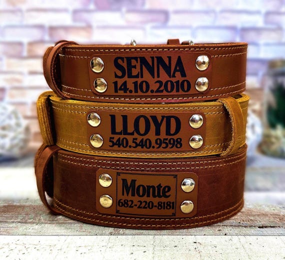 Wide Leather Dog Collar: Thick Personalized Collar for Large Dogs