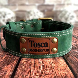 Leather Dog Collar, Personalized Dog Collar, Heavy Duty Dog Collar, Handmade Dog Collar, Custom Dog Collar, Solid Brass Hardware, Leather Pet Collar, Durable Dog Collar, Engraved Dog Collar, Dog Collar with Nameplate
