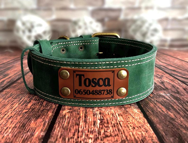 Leather Dog Collar, Personalized Dog Collar, Heavy Duty Dog Collar, Handmade Dog Collar, Custom Dog Collar, Solid Brass Hardware, Leather Pet Collar, Durable Dog Collar, Engraved Dog Collar, Dog Collar with Nameplate