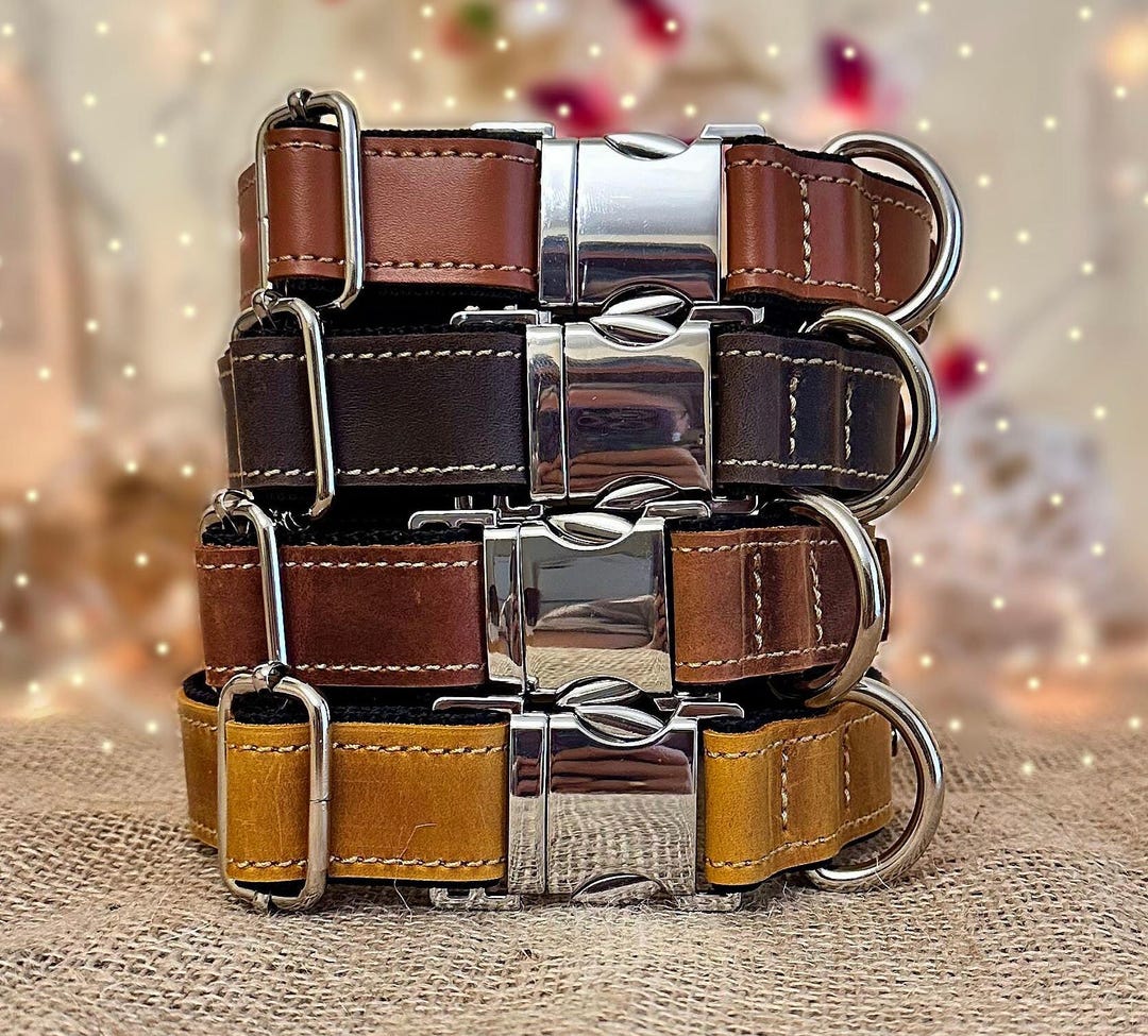 Personalized Leather Dog Collar: Engraved Custom Pet Collar - Etsy