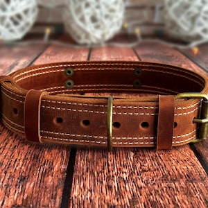 Adjustable cognac leather dog collar with multiple sizing holes, reinforced stitching, and durable brass hardware.