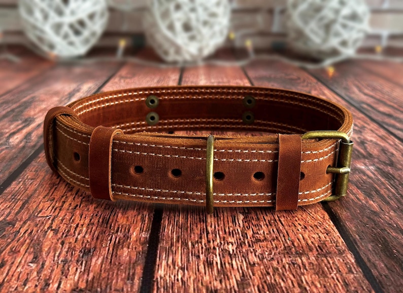 Adjustable cognac leather dog collar with multiple sizing holes, reinforced stitching, and durable brass hardware.