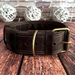 Wide dark brown leather dog collar with antique brass buckle, heavy-duty D-ring, and reinforced double stitching.