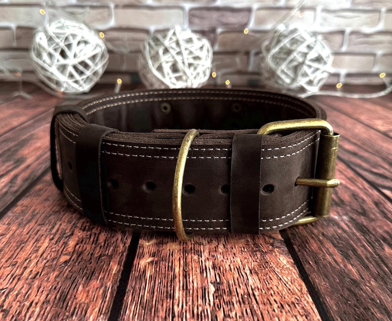 Wide dark brown leather dog collar with antique brass buckle, heavy-duty D-ring, and reinforced double stitching.