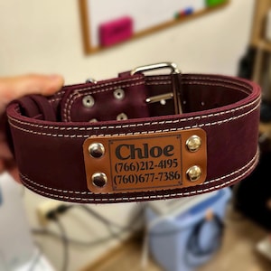 Engraved Leather Dog Collar: Personalized Thick Collar for Large Breeds