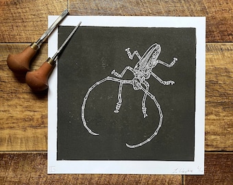 Original handgemachter Linoldruck 'Le Coléoptère' Insekt - Limitierte Auflage - Bunte Kunst