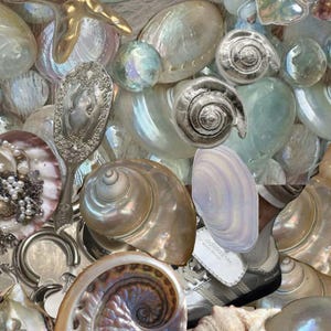 Astral Seashells Offering for Spirit Companions | Whispers from the Deep | Personalized | Ocean Spirits, Moon Magick & Memory