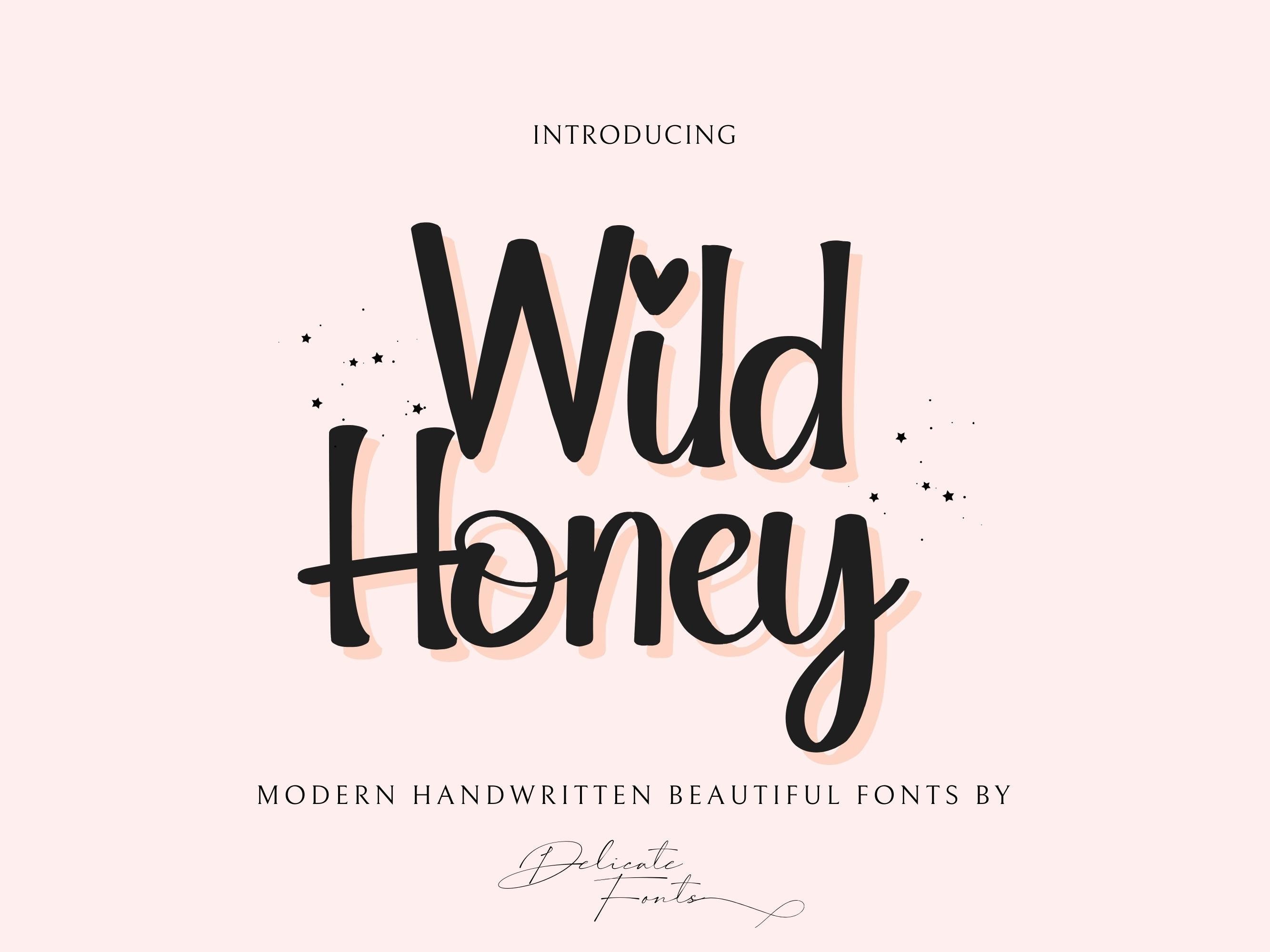 Wild Honey Script Font: Modern Cursive Fonts (TTF, OTF) - Etsy