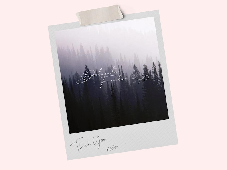 May include: A vintage-style photo of a misty forest with the text "Delicate Fonts" and "Thank You xoxo" written in a cursive font.