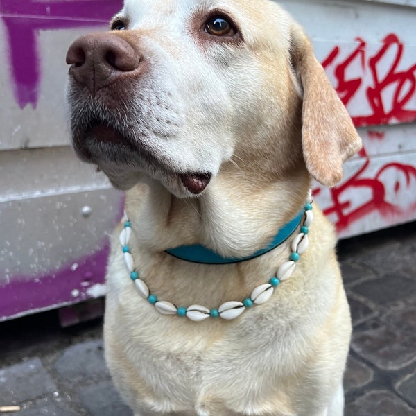 Hundekette mit Muscheln | dog apparel