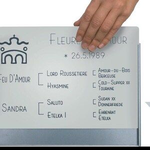 Könnte beinhalten: Ein silbernes Metallschild mit einer schwarz-weißen Grafik eines Gebäudes mit einem Wellendesign darüber. Der Text "FEU D'AMOUR" befindet sich unterhalb der Grafik. Das Schild enthält auch eine Liste von Namen und Orten, darunter "LORD ROUSSETIERE", "HYASMINE", "SALUTO", "ETELKA I", "AMOUR-DU-BOIS", "BERCEUSE", "COLD-SLIPPER XX", "TOURAINE", "SUDAN XX", "DONNERFRIEDE", "EHRENRAT" und "ETELKA". Der Text "FLEUR YOUR * 26.5.1989" befindet sich oben auf dem Schild.