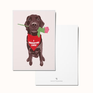 Cartão postal Labrador Dog: Eu Labradore você!