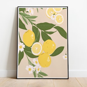 Carte postale et affiche Citrons