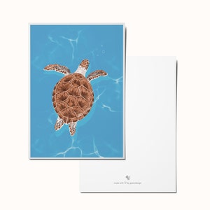 Postal y póster Tortuga