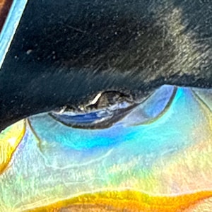 May include: Close-up of a glass object with iridescent colours. The object has a curved shape with a blue and yellow gradient. The edges are outlined in a darker colour, and the surface appears to be slightly textured.