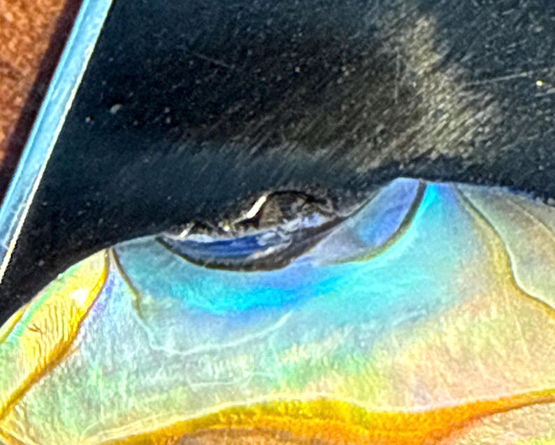 May include: Close-up of a glass object with iridescent colours. The object has a curved shape with a blue and yellow gradient. The edges are outlined in a darker colour, and the surface appears to be slightly textured.