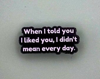 Charming Enamel Pin: 'When I Told You I Liked You, I Didn't Mean Every Day' Quote