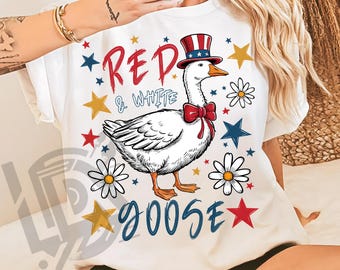 Patriotic Goose Png, 4th Goose Png, Retro 4th of July Png, America Coquette Png, Funny July 4th Png, Independence Day Png, Patriotic Png