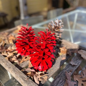 Red Jumbo Pine Cone