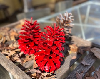 Red Jumbo Pine Cone