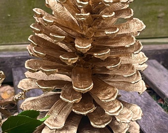 Jumbo Gold Pinecone