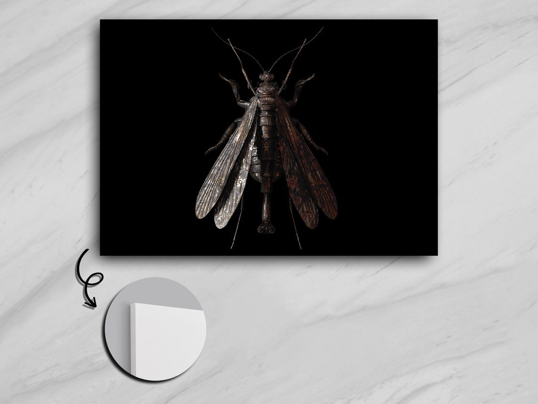 Multifarious Winged Abstract Insect,abstract Insect, Insect Art ...